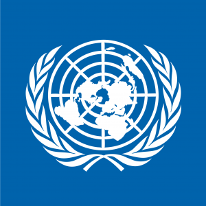 United Nations Development Programme United Nations